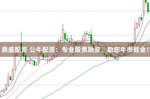 鼎盛配资 公牛配资：专业股票融资，助您牛市掘金！