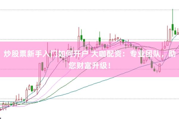 炒股票新手入门如何开户 大咖配资：专业团队，助您财富升级！