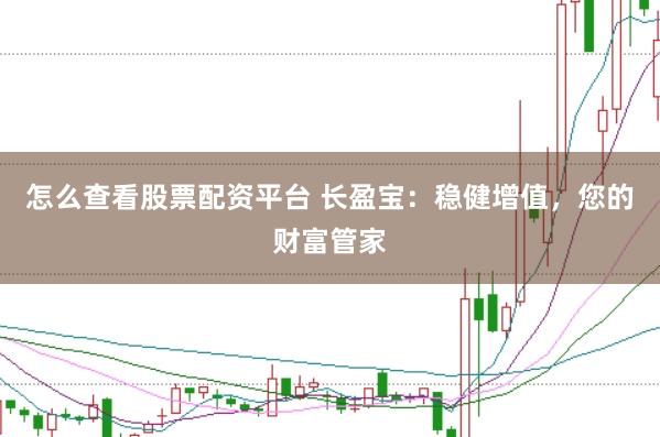 怎么查看股票配资平台 长盈宝：稳健增值，您的财富管家