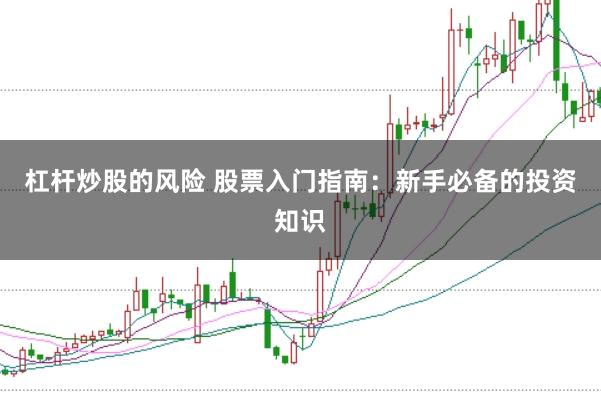 杠杆炒股的风险 股票入门指南：新手必备的投资知识