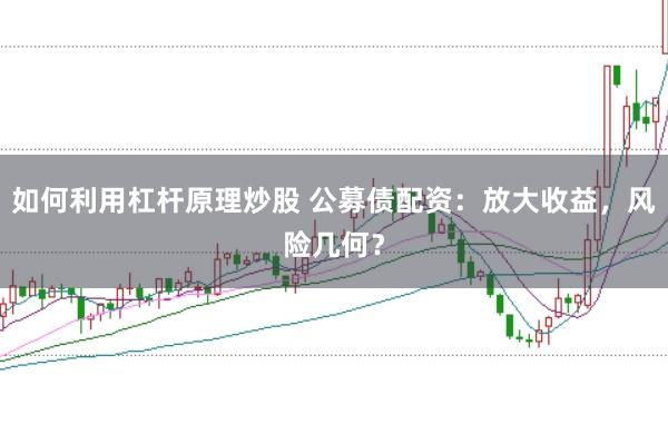 如何利用杠杆原理炒股 公募债配资：放大收益，风险几何？