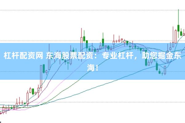 杠杆配资网 东海股票配资：专业杠杆，助您掘金东海！