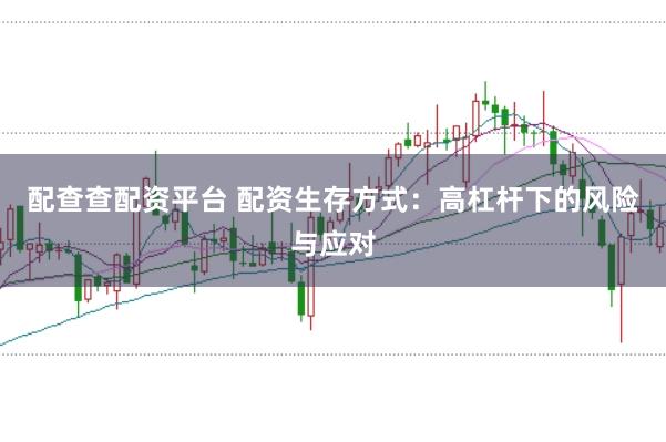 配查查配资平台 配资生存方式：高杠杆下的风险与应对