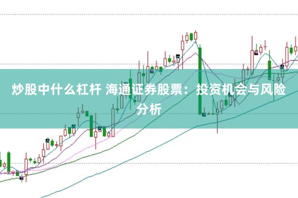 炒股中什么杠杆 海通证券股票：投资机会与风险分析