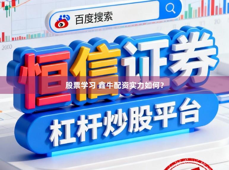 股票学习 鑫牛配资实力如何？